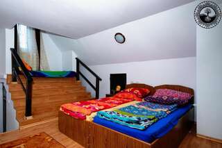 Лоджи Vila Negrele Lupeni Двухместный номер с 1 кроватью или 2 отдельными кроватями и собственной ванной комнатой-1