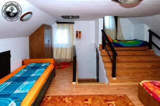 Лоджи Vila Negrele Lupeni Двухместный номер с 1 кроватью или 2 отдельными кроватями и собственной ванной комнатой-2