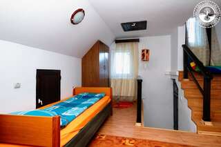 Лоджи Vila Negrele Lupeni Двухместный номер с 1 кроватью или 2 отдельными кроватями и собственной ванной комнатой-3